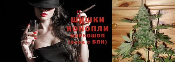 трава Магас