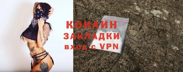 трава Магас