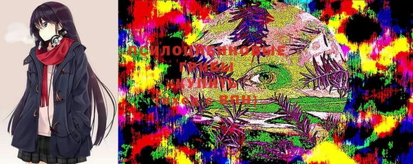 трава Магас