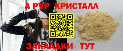 стафф Дубна