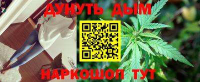 стафф Дубна