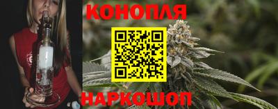стафф Донской
