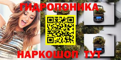 стафф Дубна
