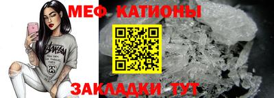 стафф Донской