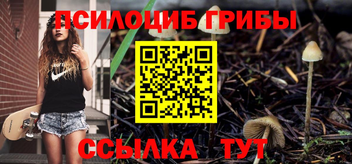 Энгельс  Псилоцибиновые грибы мухоморы  Вход с VPN 
