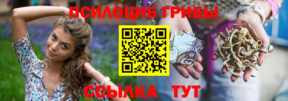 Псилоцибиновые грибы мухоморы  Галлюциногенные грибы Psilocybine cubensis  закладка  Энгельс 