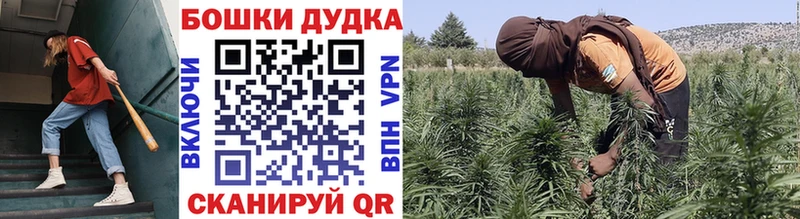 Канабис MAZAR  Энгельс 